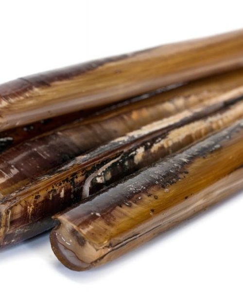 All you need to know about Razor Clams