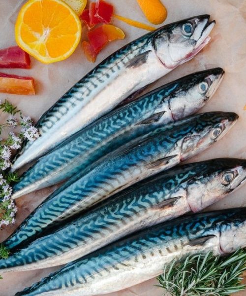 Everything you need to know about Canned mackerel